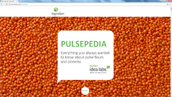 Ingredion Pulsepedia animated infographic for Eloqua