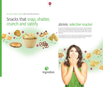 Snacks Brochures